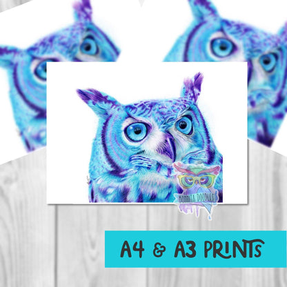 Screech owl print - Sapphire Series. Home art print