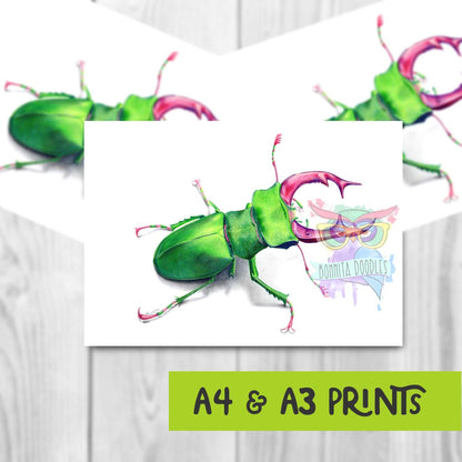 Stag beetle - Peridot Series. Home art print