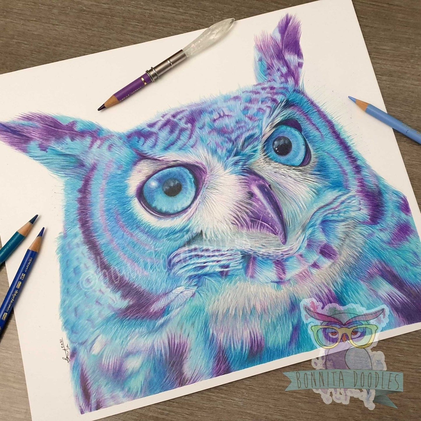 Screech owl print - Sapphire Series. Home art print